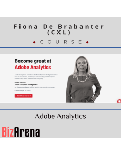 an image of Digital Analytics courses at Bizarena