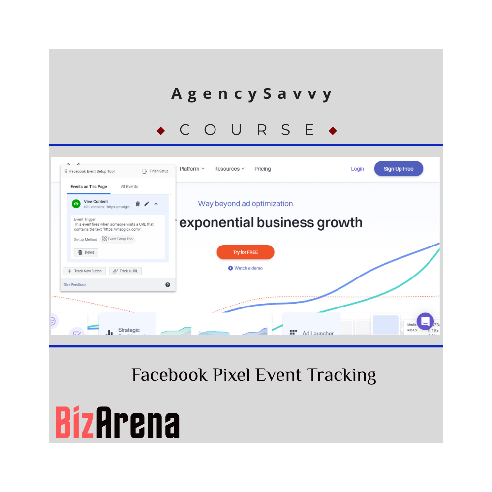 AgencySavvy ? Facebook Pixel Event Tracking