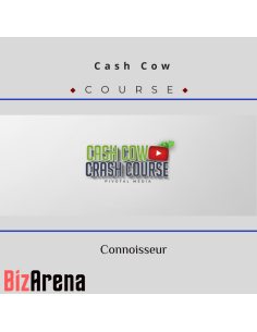 an image of YouTube growth courses at Bizarena