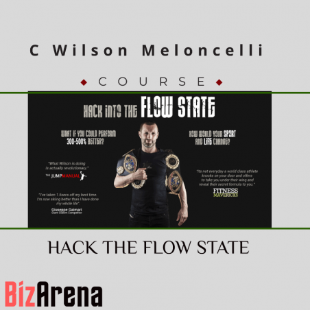 an image of C Wilson Meloncelli - HACK THE FLOW STATE 