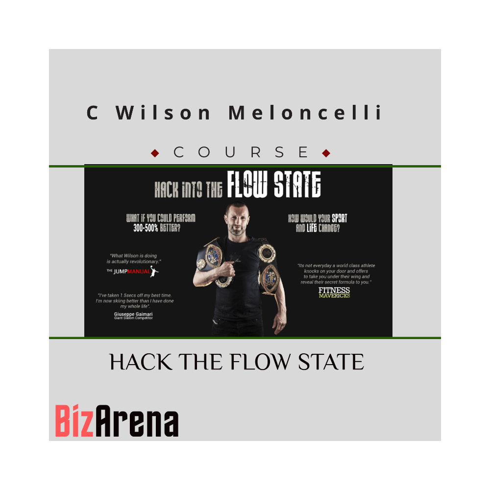 C Wilson Meloncelli - HACK THE FLOW STATE