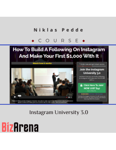 Niklas Pedde ? Instagram University 3.0 [Updated]