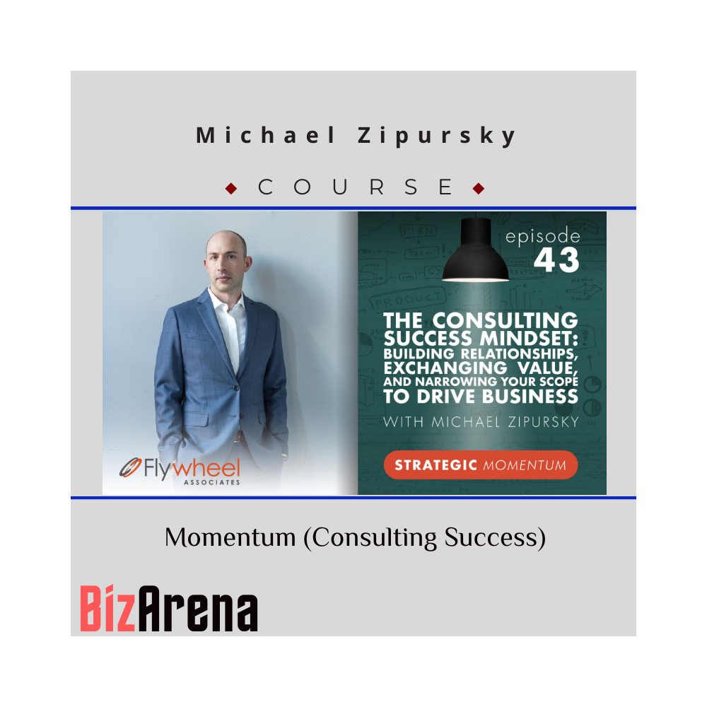 Michael Zipursky ? Momentum (Consulting Success)
