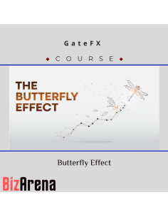 an image of PimpMyMoney courses at Bizarena