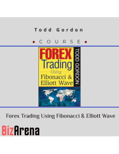 an image of Forex courses at Bizarena
