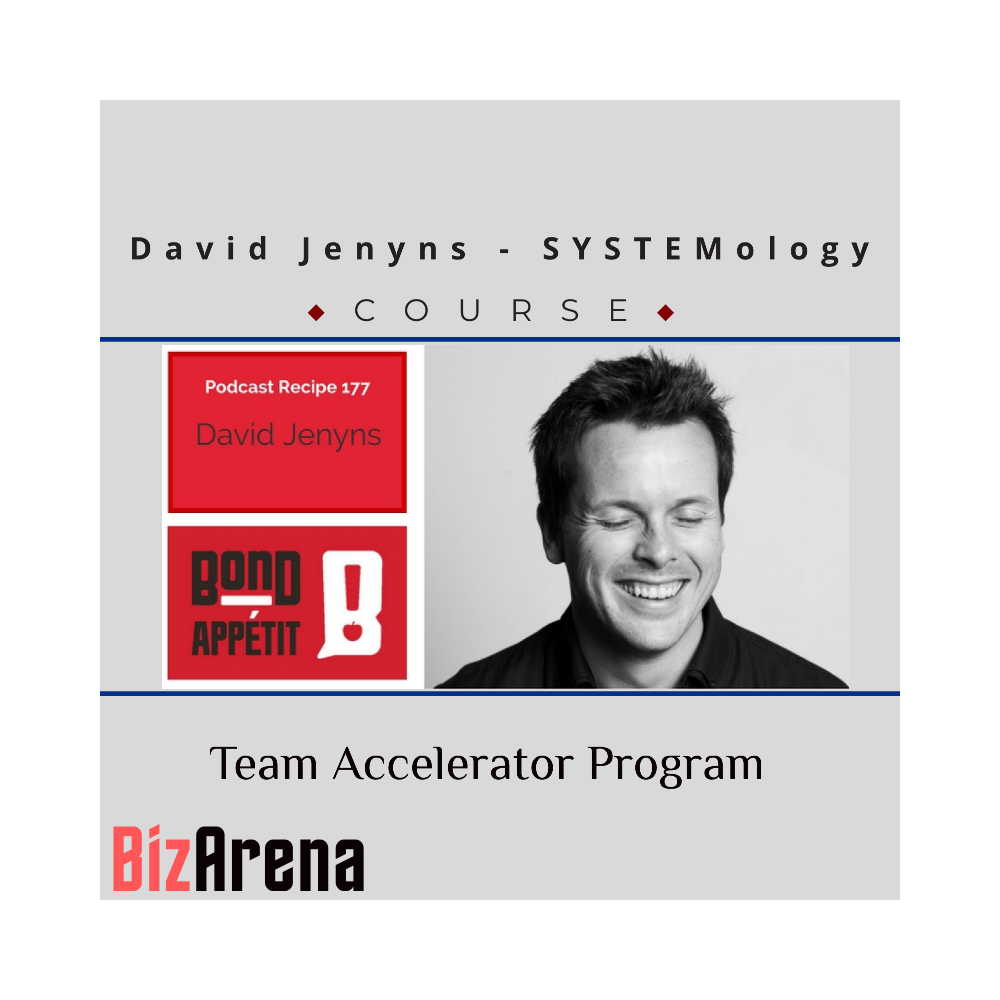 David Jenyns ? SYSTEMology -Team Accelerator Program