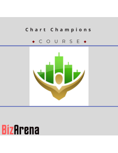 an image of Trading & Stocks courses at Bizarena