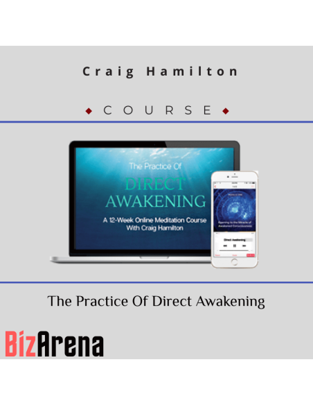 an image of Craig Hamilton - The Practice Of Direct Awakening 