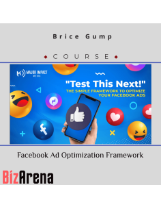 an image of Facebook Ads courses at Bizarena