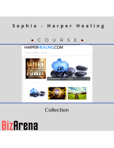 an image of PimpMyMind courses at Bizarena