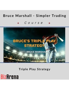 an image of Trading & Stocks courses at Bizarena