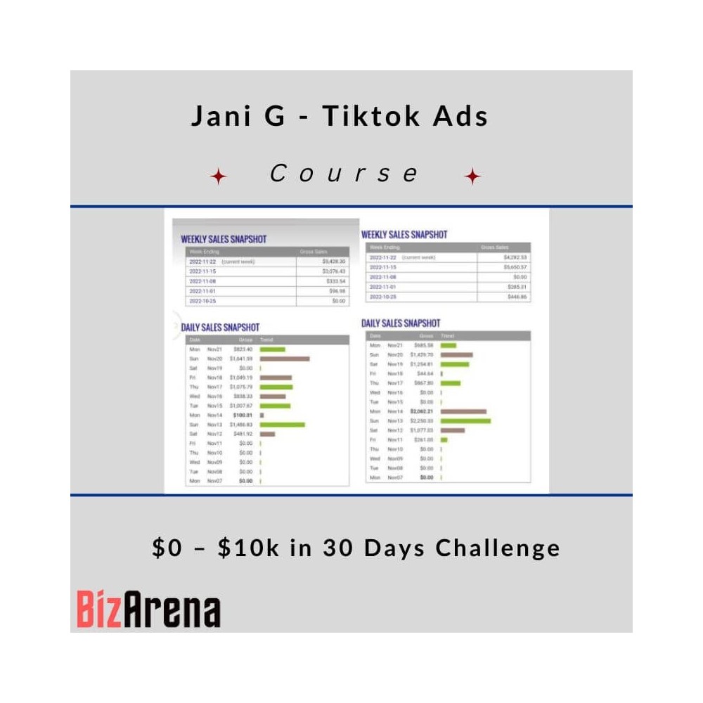 Jani G - Tiktok Ads $0 ? $10k in 30 Days Challenge [Updated]