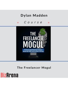 Dylan Madden - The Freelancer Mogul