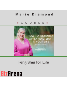 an image of PimpMyMind courses at Bizarena