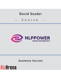 David Snyder - Soulmate Secrets