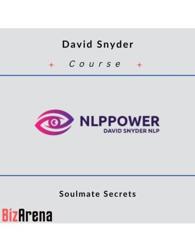 an image of David Snyder - Soulmate Secrets 