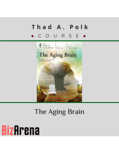 an image of PimpMyMind courses at Bizarena
