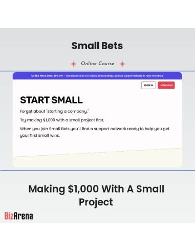 an image of Small Bets - Making $1,000 With A Small Project 