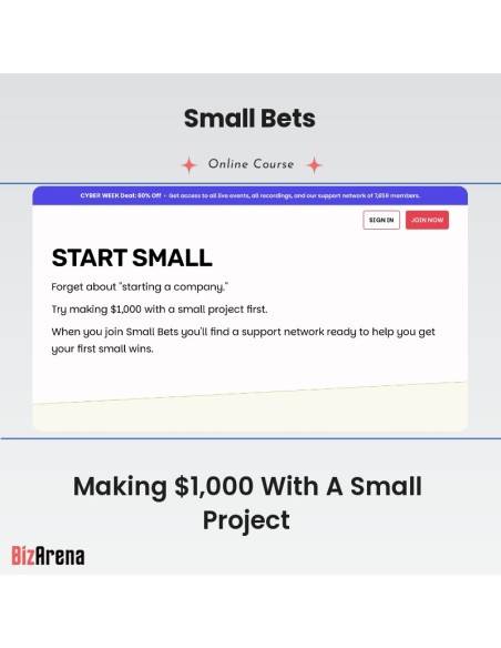 an image of Small Bets - Making $1,000 With A Small Project 