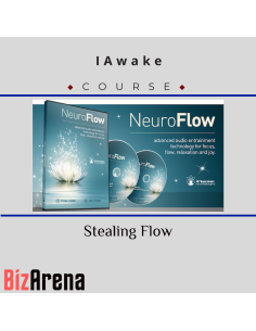IAwake -Stealing Flow