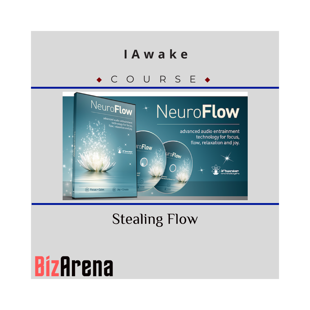 IAwake -Stealing Flow