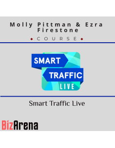 an image of SEO & Traffic courses at Bizarena