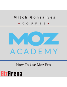 an image of SEO & Traffic courses at Bizarena
